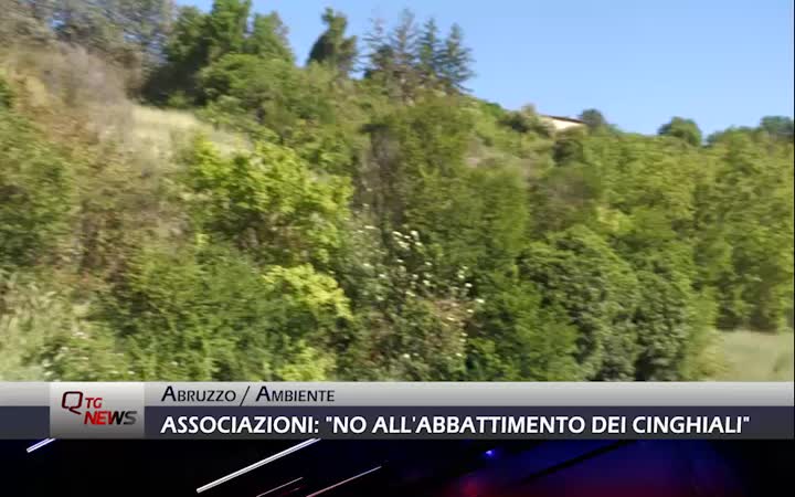 Abruzzo: 19 Associazioni contro l’abbattimento dei cinghiali