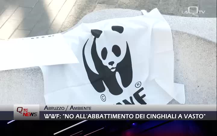 WWF Abruzzo: 