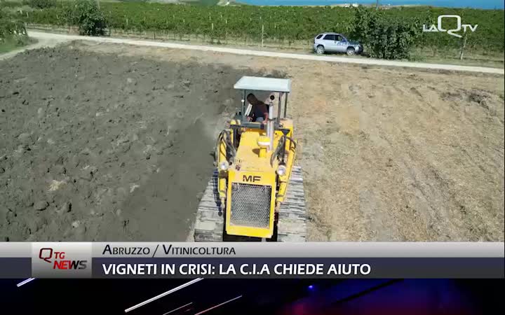 Vigneti abruzzesi in crisi: la CIA chiede aiuto