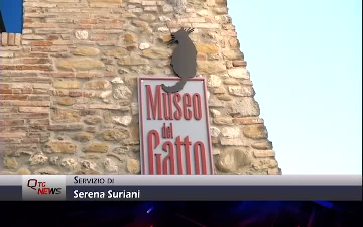 “Grave inerzia relativamente al problema della ricostituzione del Museo del Gatto”